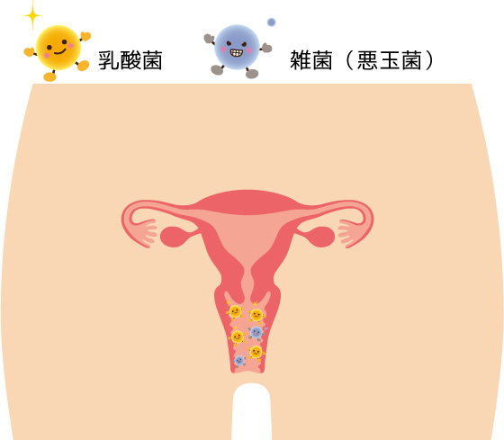 膣内の細菌