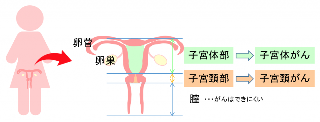 東京タワー 雨の日