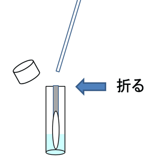 保存液に入れる
