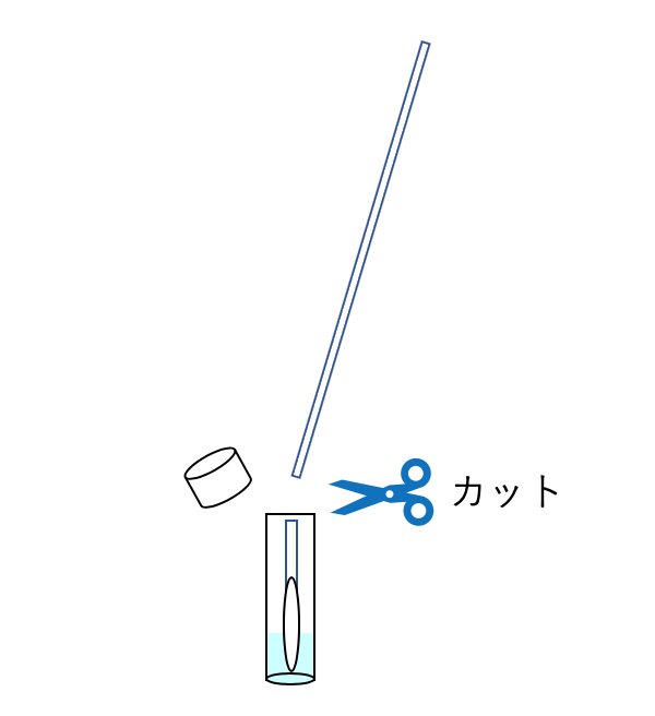 保存液に入れる