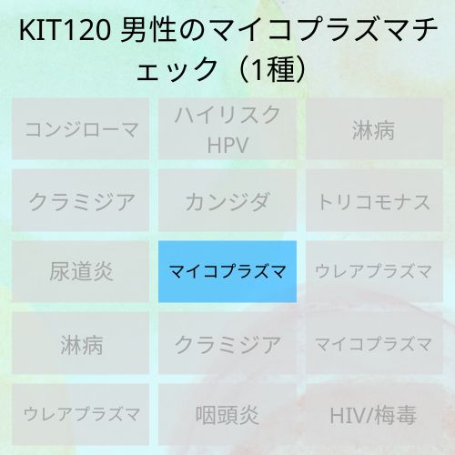 KIT120