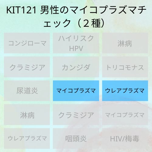 KIT121