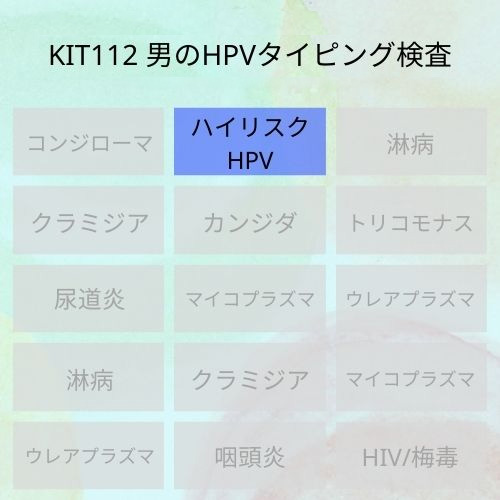 Kit112 img